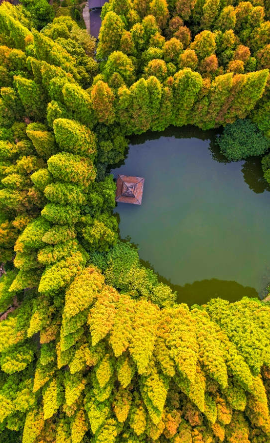 △Jiangyin City Binjiang Fort Tourism Area.