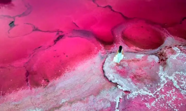 The red salt lake in Badain Jaran.