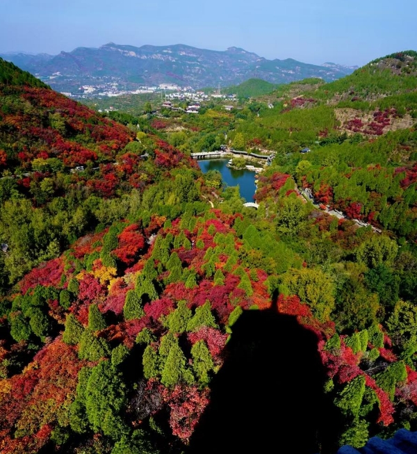 Red Leaf Valley