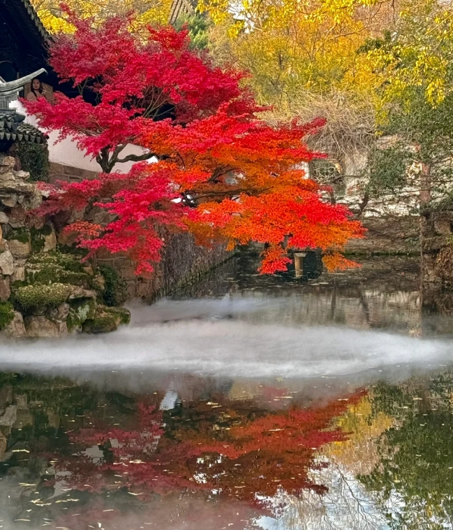 Suzhou Gardens