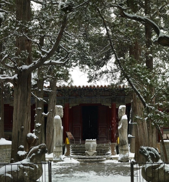 Snow-Covered Landscape of the cemetery in winter.