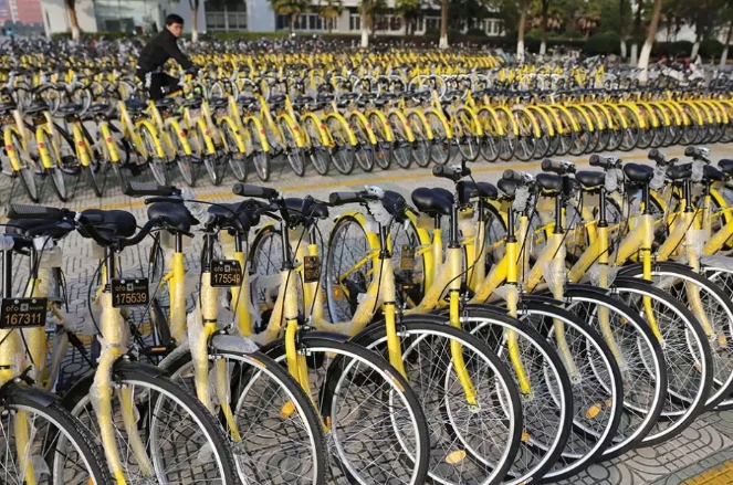 Rows of neat "little yellows" on the streets of Shanghai.