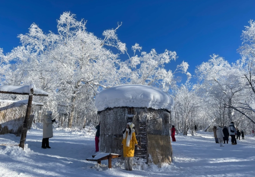 Ice and Snow Gallery