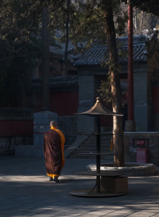 Monks from Tanzhe Temple