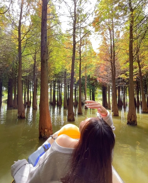 Rowing in Haihong Wetland