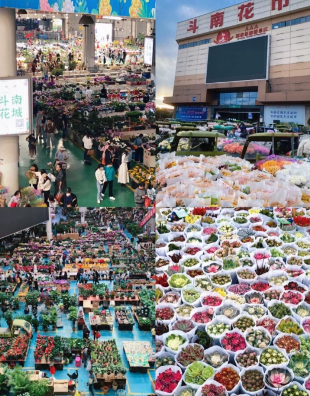 Dounan Flower Market